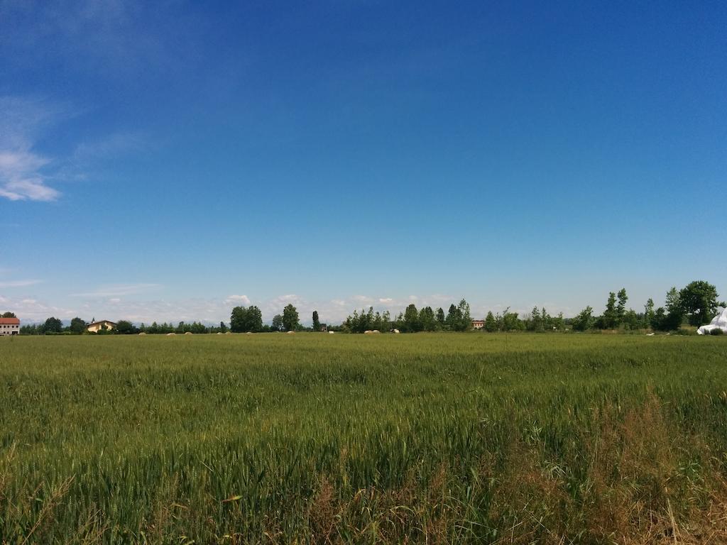 Campagna Lupia Agriturismo La Chioccia מראה חיצוני תמונה